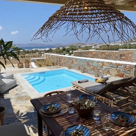 Villa Ypsilon Naxos - Luxury Holiday House With Amazing Sea View & Private Pool Agia Anna  ภายนอก รูปภาพ