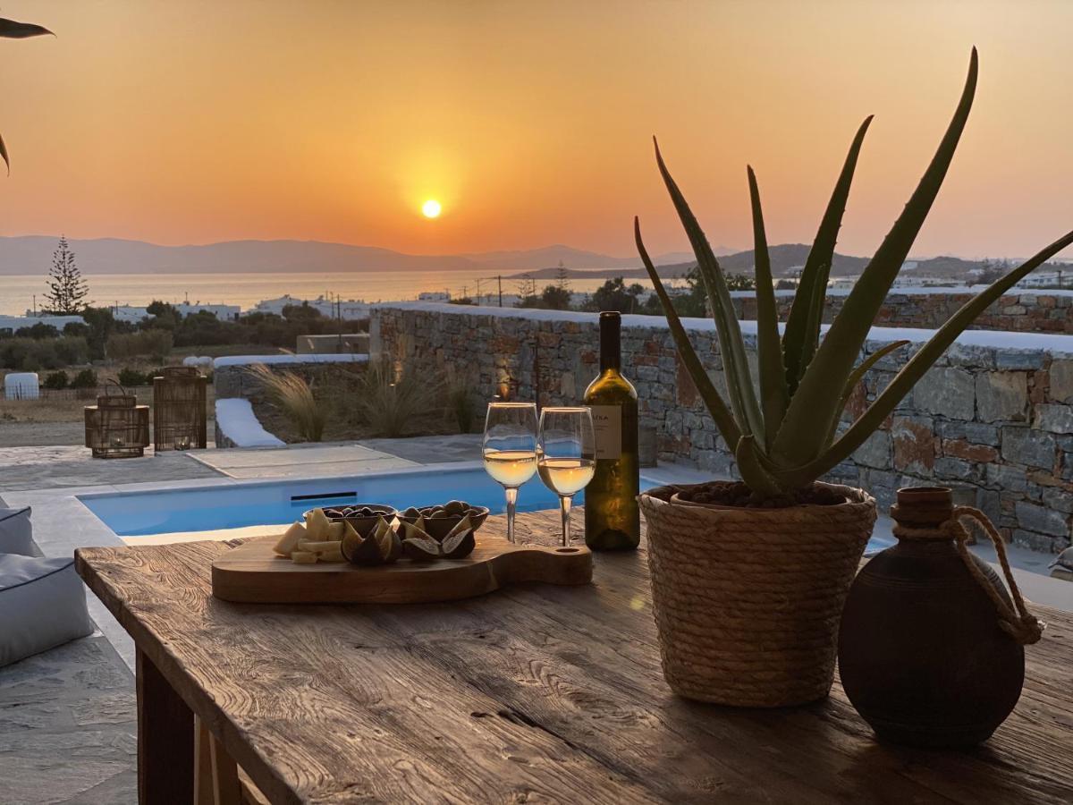 Villa Ypsilon Naxos - Luxury Holiday House With Amazing Sea View & Private Pool Agia Anna  ภายนอก รูปภาพ