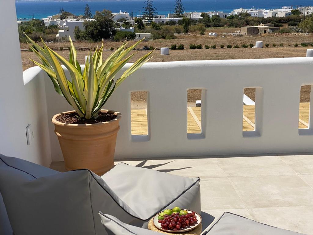 Villa Ypsilon Naxos - Luxury Holiday House With Amazing Sea View & Private Pool Agia Anna  ภายนอก รูปภาพ