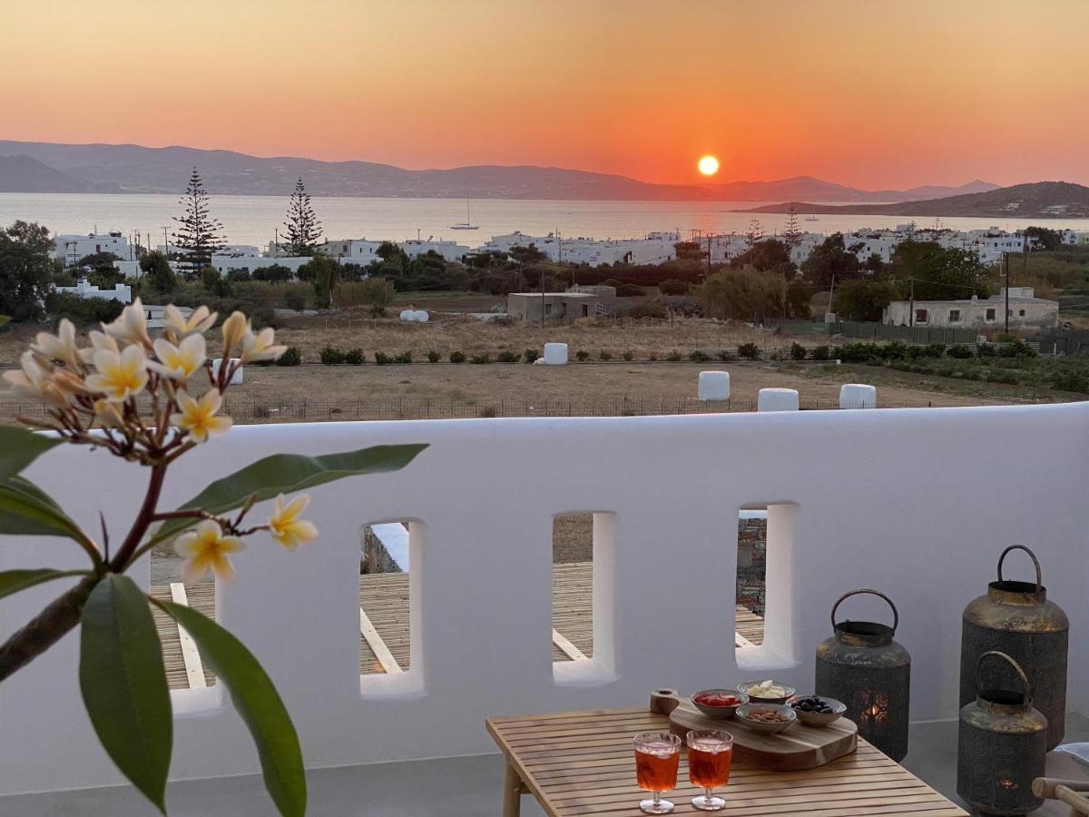 Villa Ypsilon Naxos - Luxury Holiday House With Amazing Sea View & Private Pool Agia Anna  ภายนอก รูปภาพ